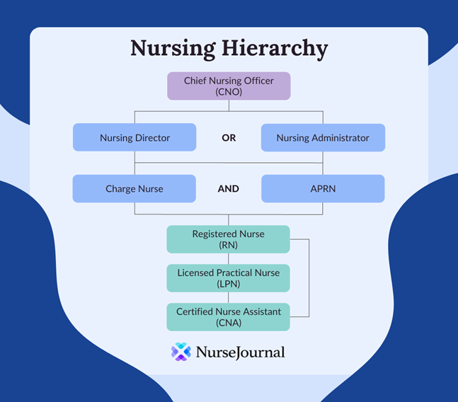 Nursing Hierarchy Graph